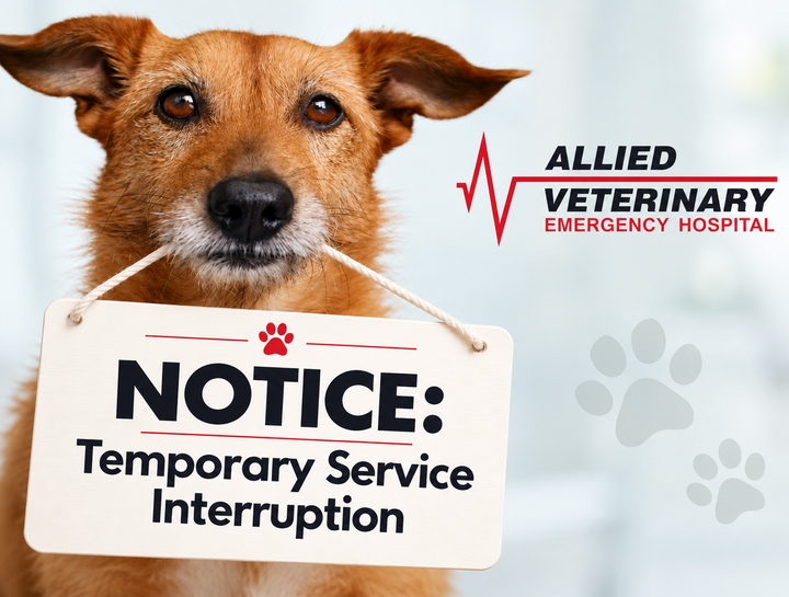 Temporary Service Interruption